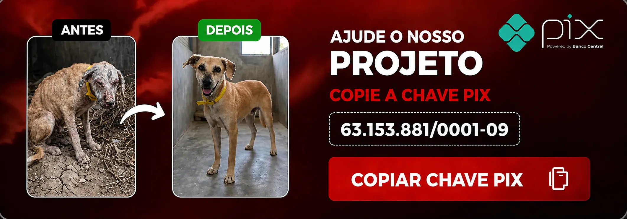 Clique para copiar a chave Pix